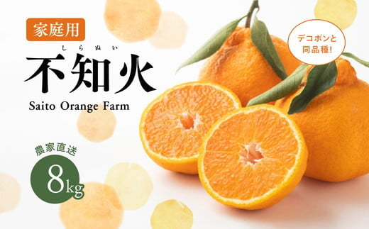 【先行予約】Saito Orange Farmの家庭用不知火8kg ｜ 柑橘 みかん ミカン フルーツ  果物 でこぽん デコポンと同品種 愛媛　※離島への配送不可　※2025年3月中旬頃より順次発送予定