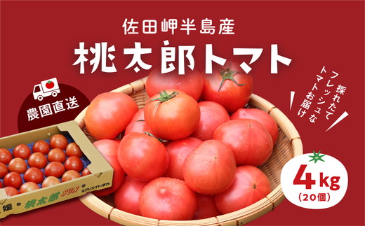 【産地直送】愛媛県伊方町産 桃太郎トマト（4kg、20〜24玉）◇