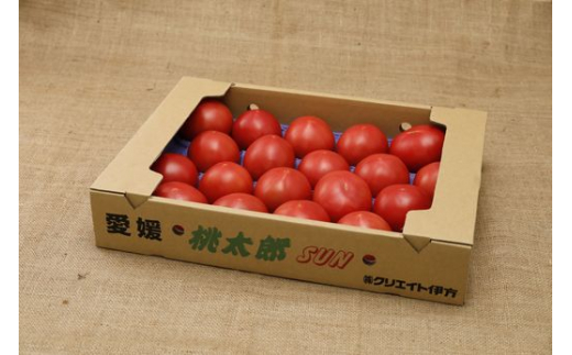 【産地直送】愛媛県伊方町産 桃太郎トマト（4kg、20〜24玉）◇