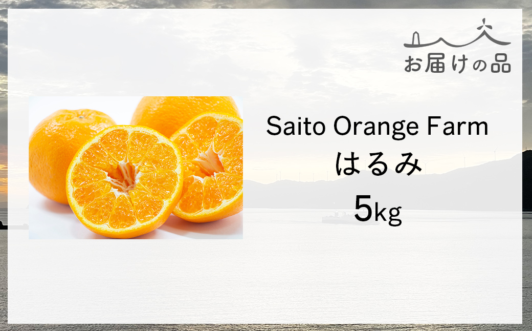 【先行予約】Saito Orange Farmのはるみ5kg（2026年2月上中旬頃より順次発送） IKTAQ016