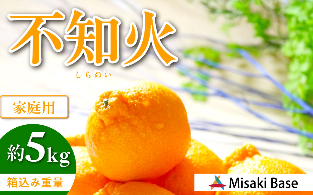 【先行受付】【家庭用】不知火（しらぬい） 5kg ※離島への配送不可（2026年2月中旬より順次発送）  IKTAB003 