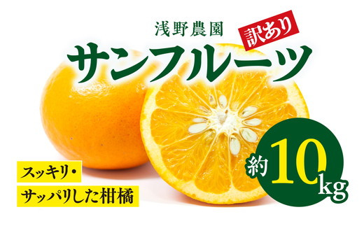 【先行予約】【訳あり】浅野農園のサンフルーツ 10kg｜柑橘 みかん ミカン フルーツ 果物 愛媛 ※2025年3月下旬頃より順次発送予定 ※離島への配送不可