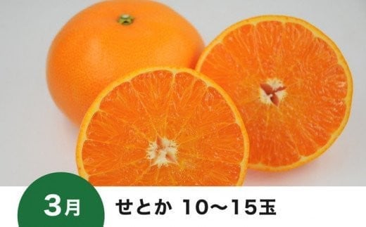 【愛媛県共通返礼品】【定期便】愛媛の柑橘定期便（全6回）（日の丸みかん・紅まどんな・いよかん・甘平・せとか・河内晩柑） ※2024年11月～2025年4月に毎月1回発送予定◇