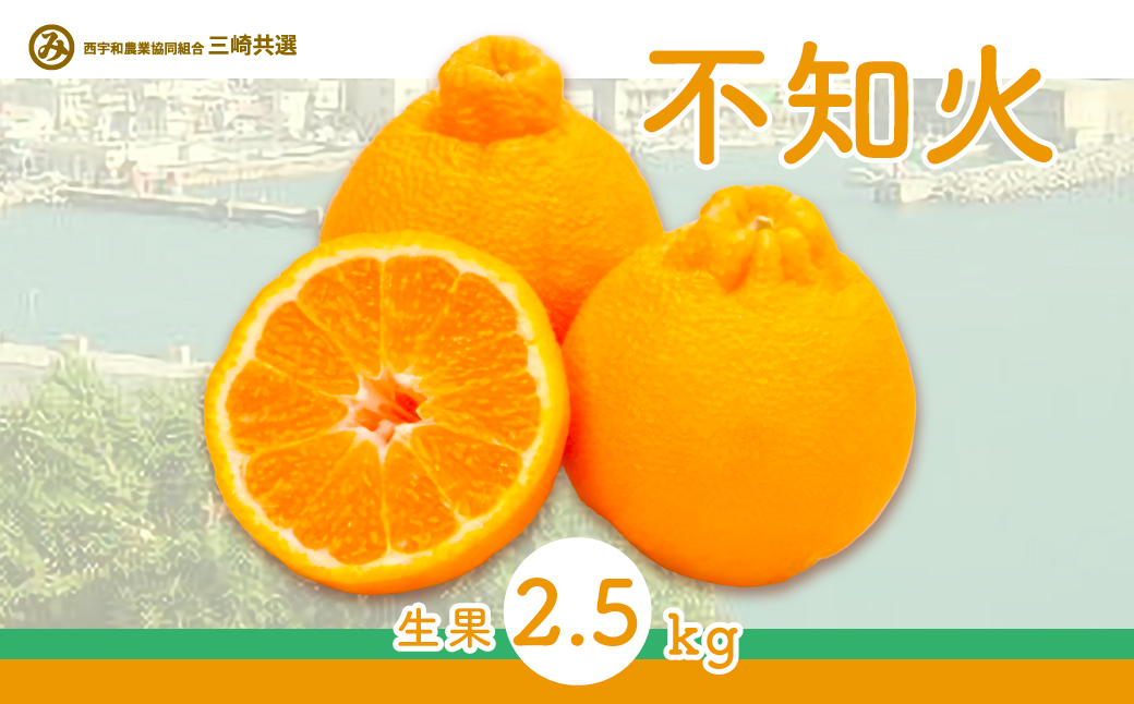 【先行予約】不知火（生果2.5kg）※離島への配送不可（2026年2月上旬〜2月下旬頃に順次発送予定） IKTBD010