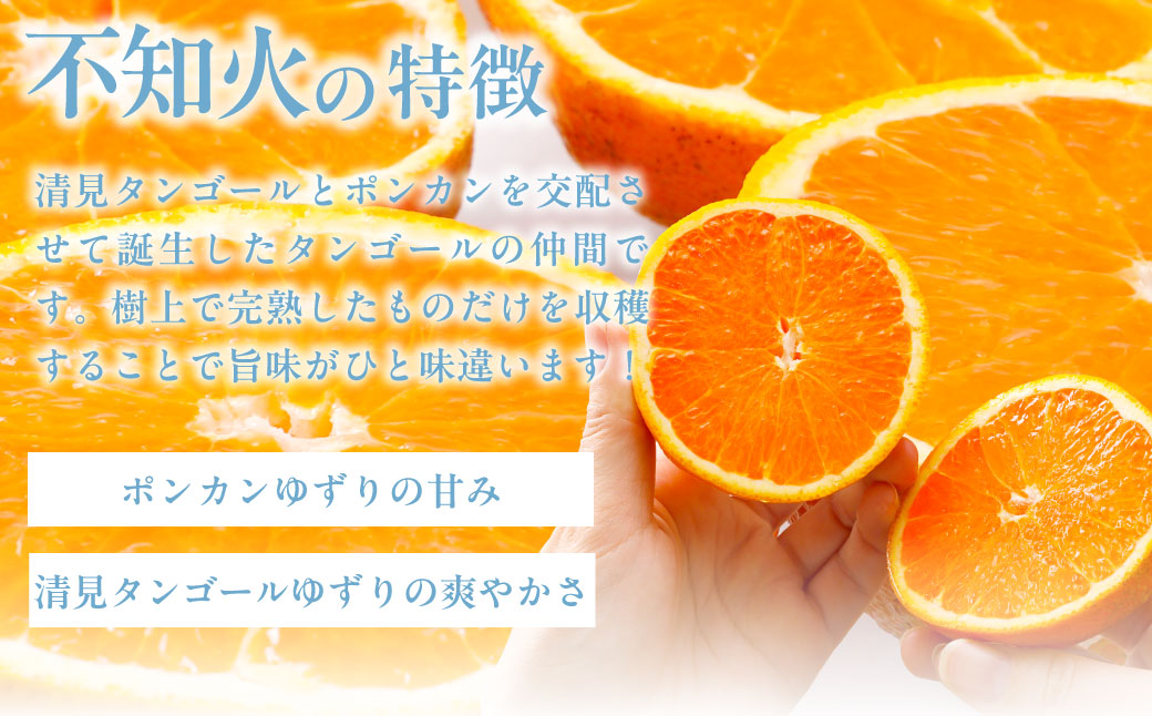 【先行受付】【家庭用】不知火（しらぬい） 5kg ※離島への配送不可（2026年2月中旬より順次発送）  IKTAB003 