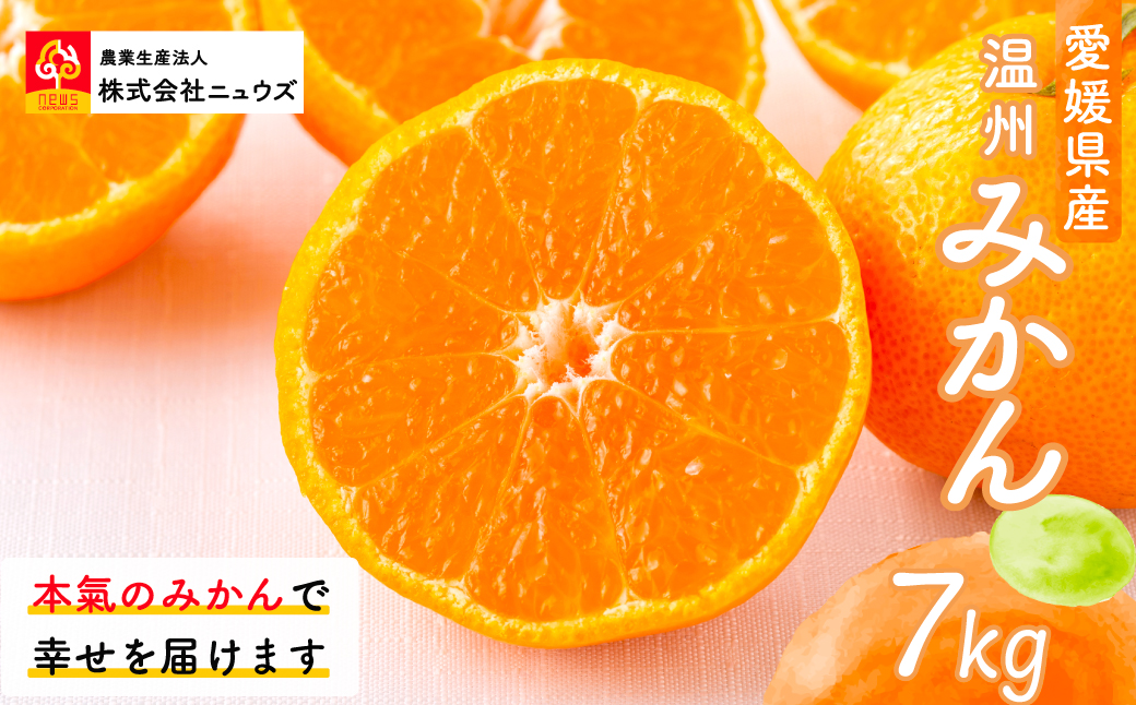 【先行予約】産地直送！愛媛県産温州みかん 7kg（2025年11月上旬より順次発送） IKTF023