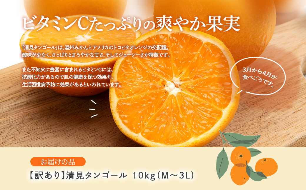 【先行予約】【訳あり】清見タンゴール 10kg（M～3L）※離島への配送不可 （2026年3月上旬頃より順次発送） IKTAR014