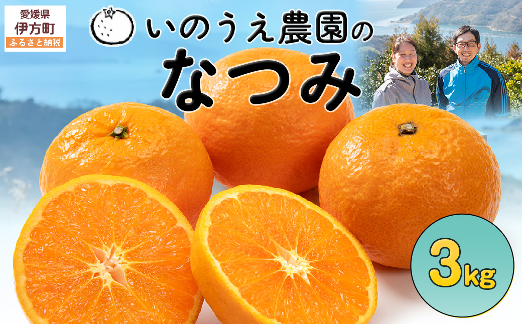 【先行予約】いのうえ農園のなつみ 3kg ※離島への配送不可 (※2026年5月上旬頃より順次発送)  IKTAI001