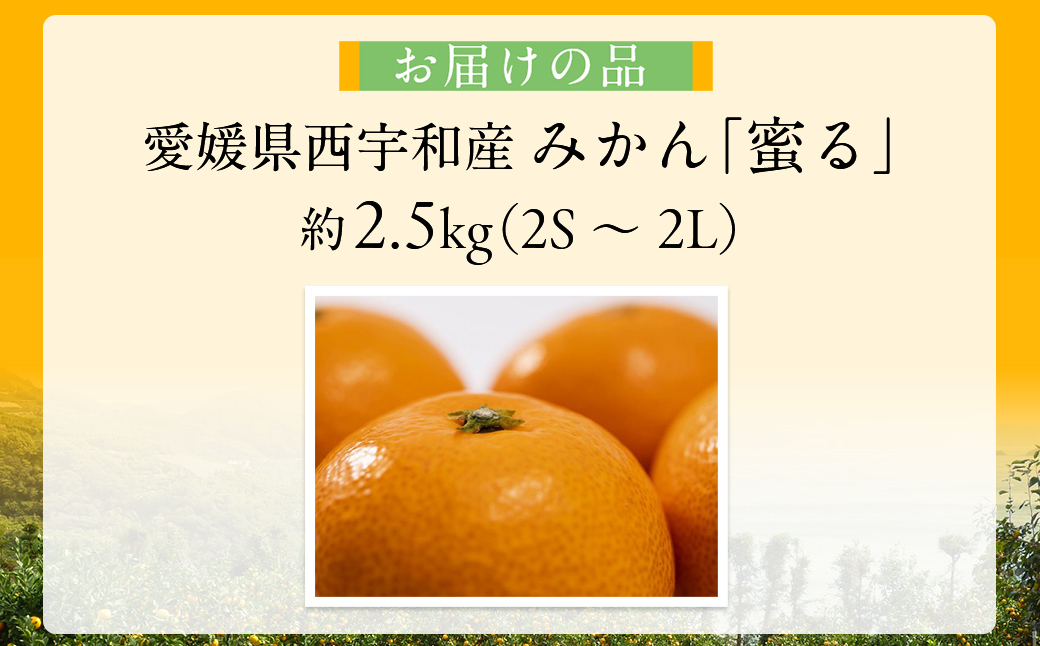JAにしうわ みつる共選 「蜜る」2.5kg（2S～2L）※離島への配送不可（2026年11月中旬より順次発送予定） IKTBC003