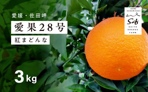 【先行予約】【数量限定】Saito Orange Farmの愛果28号（まどんな）3kg ｜ 柑橘 みかん ミカン フルーツ  果物 愛媛  高級 ブランド 限定 品種 甘い　※離島への配送不可　※2025年1月下旬頃より順次発送予定