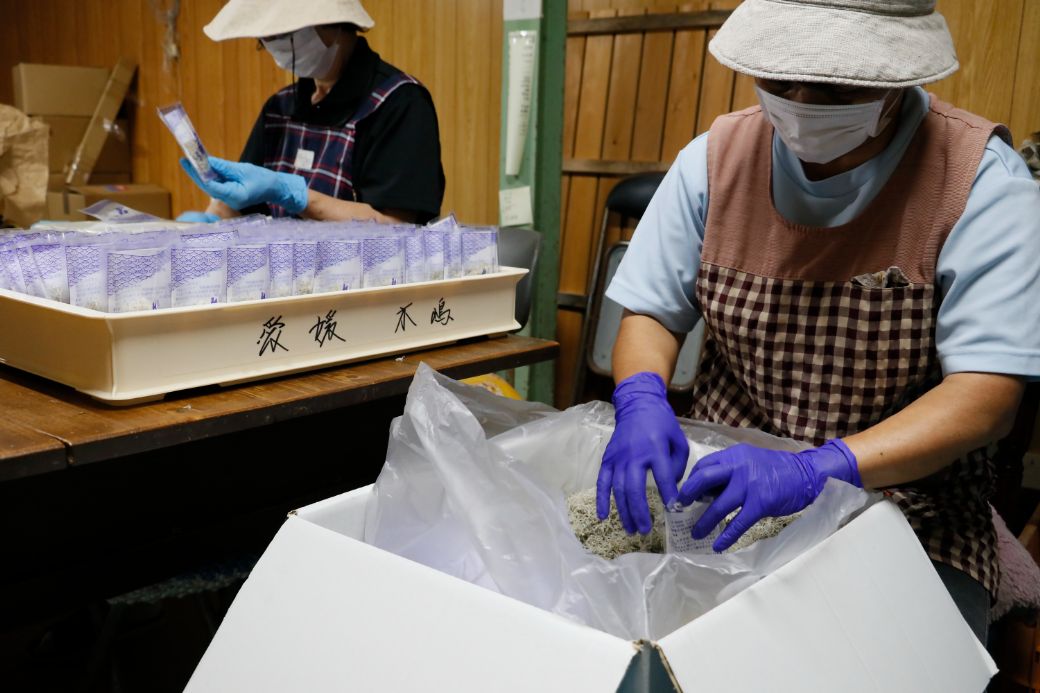 【愛媛県・佐田岬直送】木嶋水産の群青ちりめん（10g×8袋×3箱） IKTP001