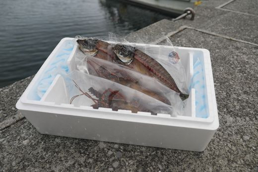 【数量限定】【匠の漁】伊勢えび・三崎アジ一夜干し特選セット（各2枚） IKTJ007