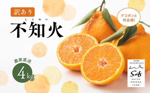 【先行予約】Saito Orange Farmの訳あり不知火4kg ｜ 柑橘 みかん ミカン フルーツ 果物 でこぽん デコポンと同品種 愛媛 ※離島への配送不可 ※2025年3月中旬頃より順次発送予定