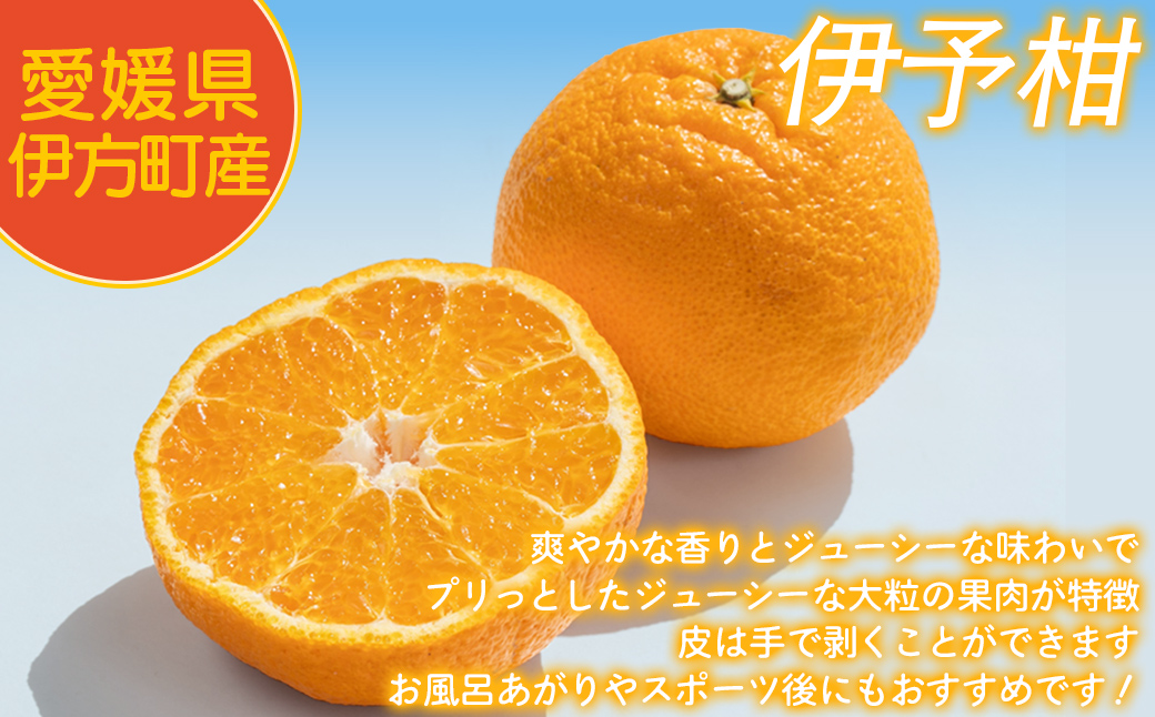 【先行予約】【家庭用】伊予柑 3kg ※北海道・沖縄・離島への配送不可 （2027年1月16日より順次発送予定） IKTAT004 