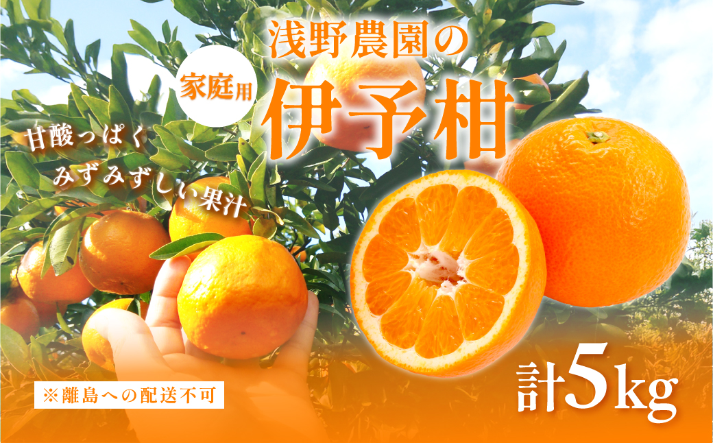 【先行予約】伊予柑5kg 家庭用 ※離島への配送不可（2026年2月上旬頃より順次発送予定） IKTAC015