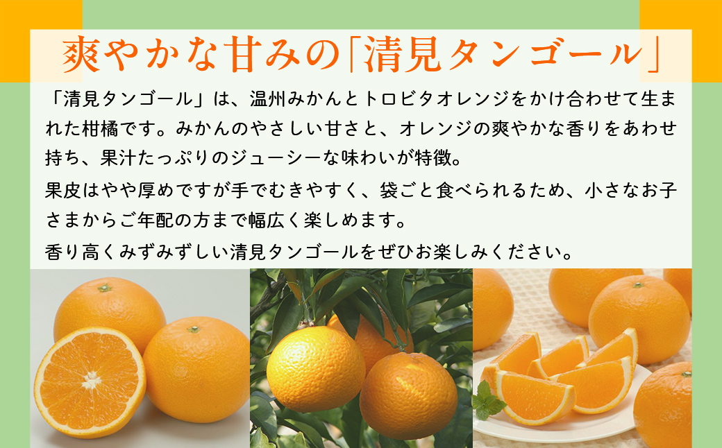 【先行予約】【数量限定】JAにしうわ みつる共選 清見タンゴール 約10kg ※離島への配送不可（2026年3月上旬より順次発送予定） IKTBC009