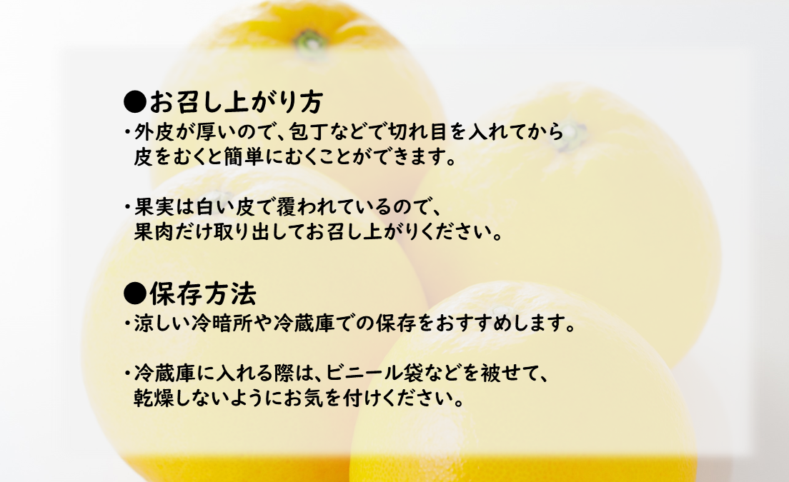 【先行予約】【農家直送】愛媛県産 ナダオレンジ 家庭用 4.5kg ｜ 柑橘 蜜柑 みかん ミカン 果物 フルーツ 河内晩柑 ※2025年5月中旬頃より順次発送予定