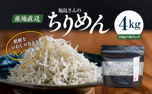 【網元直送・個包装】福島さんちのちりめん100g×40パック◇｜ 愛媛県産 伊方町 佐田岬 朝日共販 ちりめん 産地直送 極上鮮度 旨味凝縮 贈答用