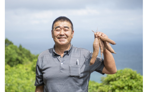 【先行予約】【数量限定】安納芋 生芋（2.5kg）| さつまいも サツマイモ 産地直送　※2024年12月上旬～2025年4月下旬頃に順次発送予定