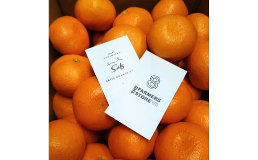 【先行予約】【数量限定】Saito Orange Farmの愛果28号（まどんな）3kg ｜ 柑橘 みかん ミカン フルーツ  果物 愛媛  高級 ブランド 限定 品種 甘い　※離島への配送不可　※2025年1月下旬頃より順次発送予定