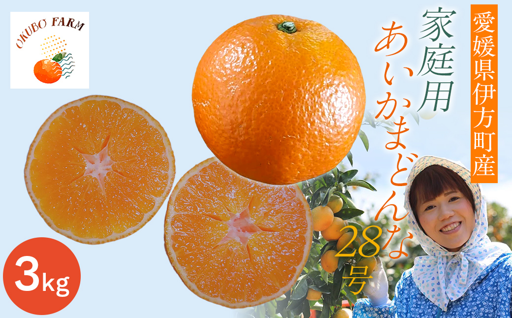 【先行予約】家庭用　あいかまどんな２８号　３kg　※2026年12月上旬から順次発送予定　 IKTAT016