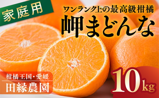 【先行予約】【家庭用】岬まどんな 10kg｜ 柑橘 みかん ミカン フルーツ 果物 愛媛　※離島への配送不可　※2024年11月下旬～12月下旬頃に順次発送予定