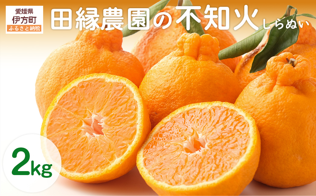【先行予約】【数量限定】田縁農園の不知火（しらぬい）2kg ※離島への配送不可 （2026年2月10日より順次発送） IKTA017
