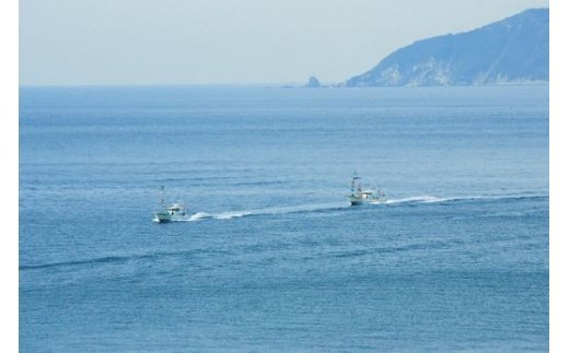 【食べるJAPAN美味アワード2021認定商品】福島さんの釜あげしらす（個包装タイプ） IKTB018 