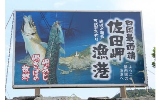 【一本釣り 匠の漁】天然三崎アジ一夜干しセット 3枚 IKTJ004