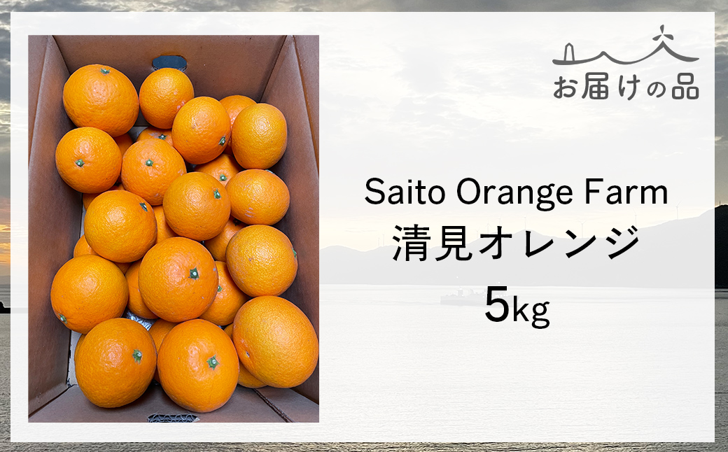 ãå
è¡äºçŽãSaito Orange Farmã®æž
èŠãªã¬ã³ãž5kgïŒ2026幎3æäžæ¬é ããé æ¬¡çºéïŒ IKTAQ007