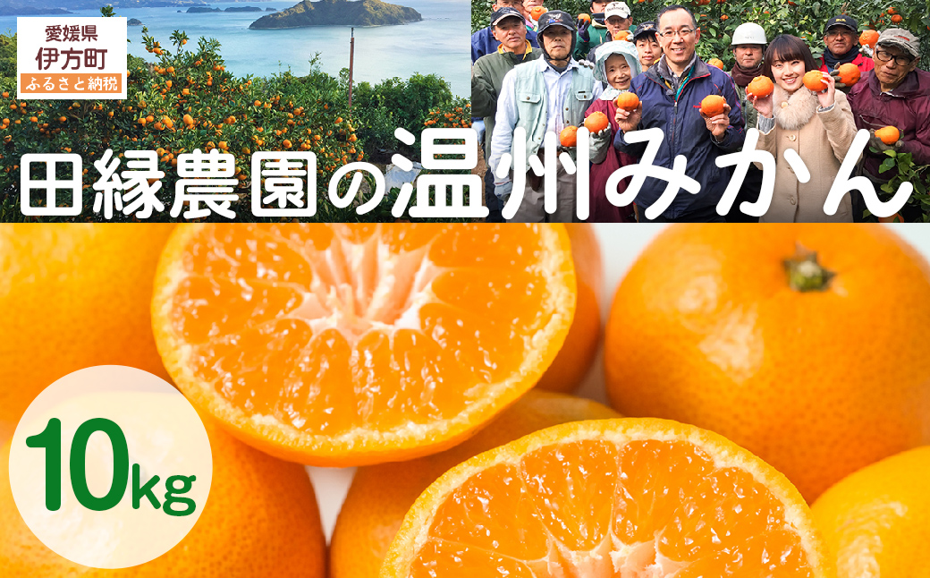 【先行予約】【数量限定】田縁農園の温州みかん（生果）10kg ※離島への配送不可 （2025年11月10日より順次発送） IKTA025