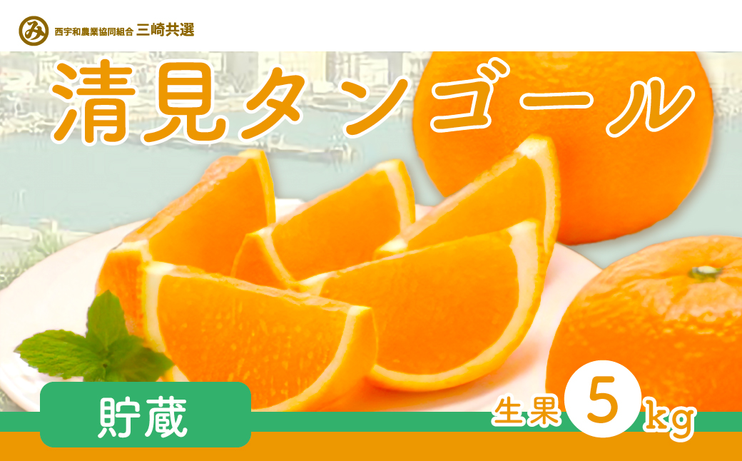 【先行予約】清見タンゴール（貯蔵・生果5kg）※離島への配送不可（2026年4月下旬より順次発送予定） IKTBD007