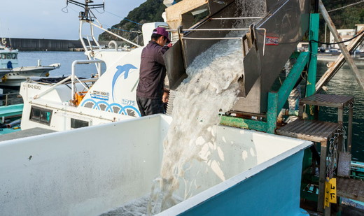 【ご飯のお供に最適】ちりめん佃煮6点セット ｜ 愛媛県 伊方町産 西宇和 ちりめん山椒 おかず ご飯 ご飯のお供 おでかけ おにぎり 　※離島への配送不可