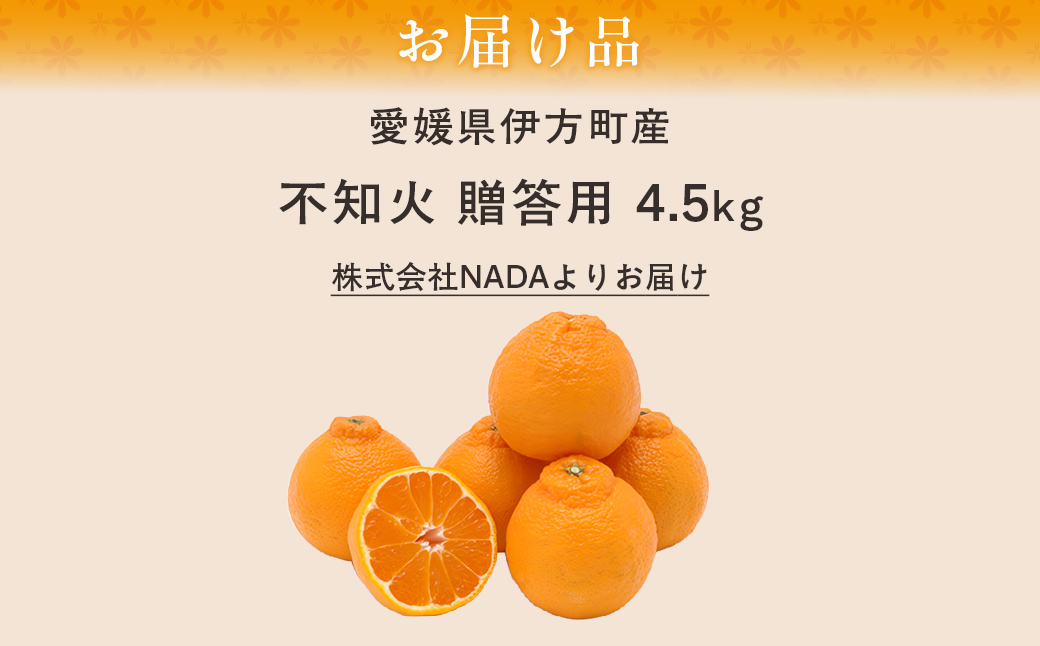【先行予約】【農家直送】愛媛県産 不知火 贈答用 4.5kg （2027年2月下旬～3月下旬に順次発送予定） IKTC008