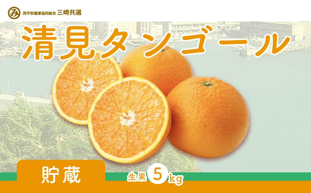 【先行予約】清見タンゴール（貯蔵・生果5kg）※離島への配送不可（2026年4月下旬より順次発送予定） IKTBD007