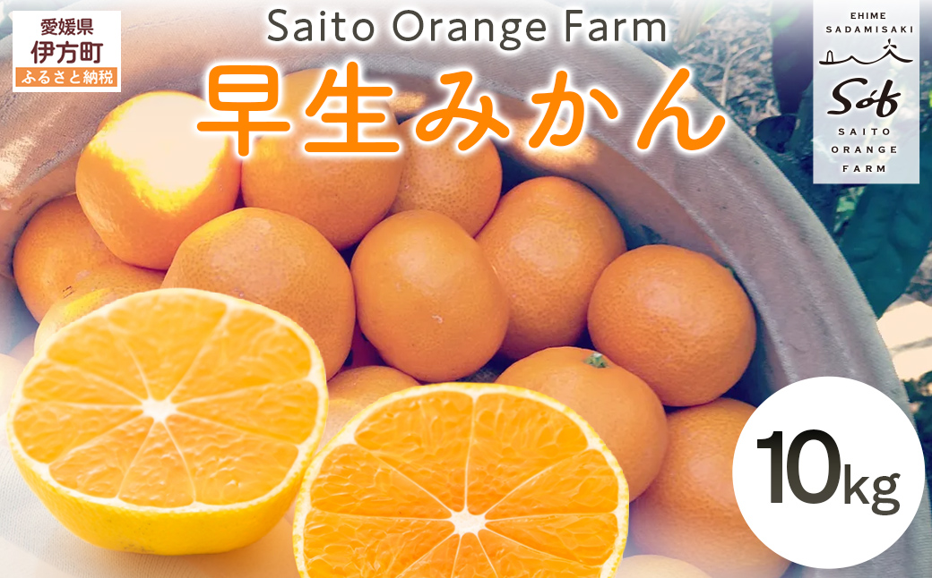 【先行予約】Saito Orange Farmの早生（わせ）みかん10kg （2025年11月下旬頃より順次発送） IKTAQ021