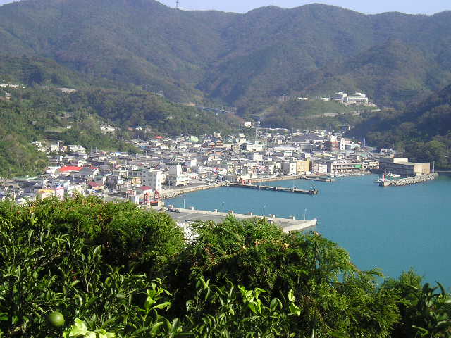 【先行予約】【家庭用】清見タンゴール 5kg ※離島への配送不可（2026年3月上旬より順次発送予定） IKTBD017