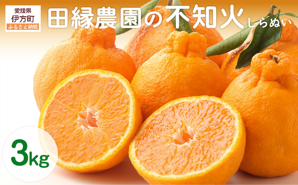 【先行予約】【数量限定】田縁農園の不知火（しらぬい）3kg ※離島への配送不可 （2026年2月10日より順次発送） IKTA018