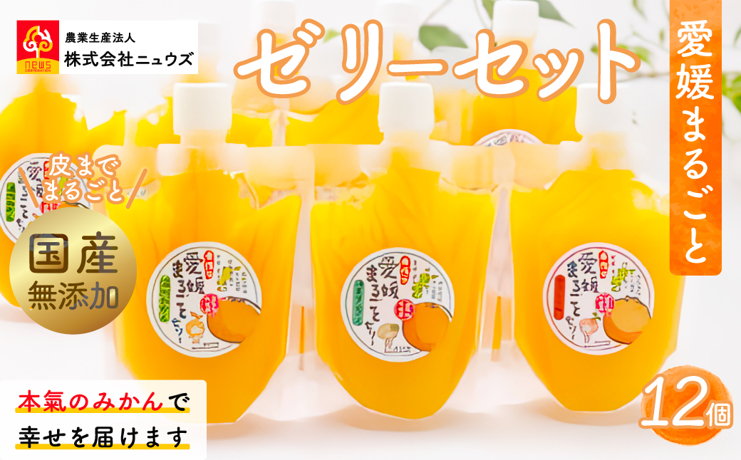 【皮までまるごと国産無添加】愛媛まるごとゼリーセット（12個） IKTF012