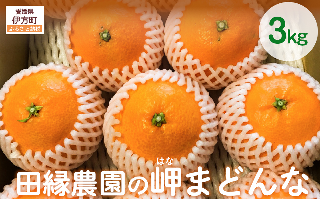 【先行予約】【数量限定】田縁農園の岬（はな）まどんな（生果）3kg （2025年11月25日より順次発送） IKTA003