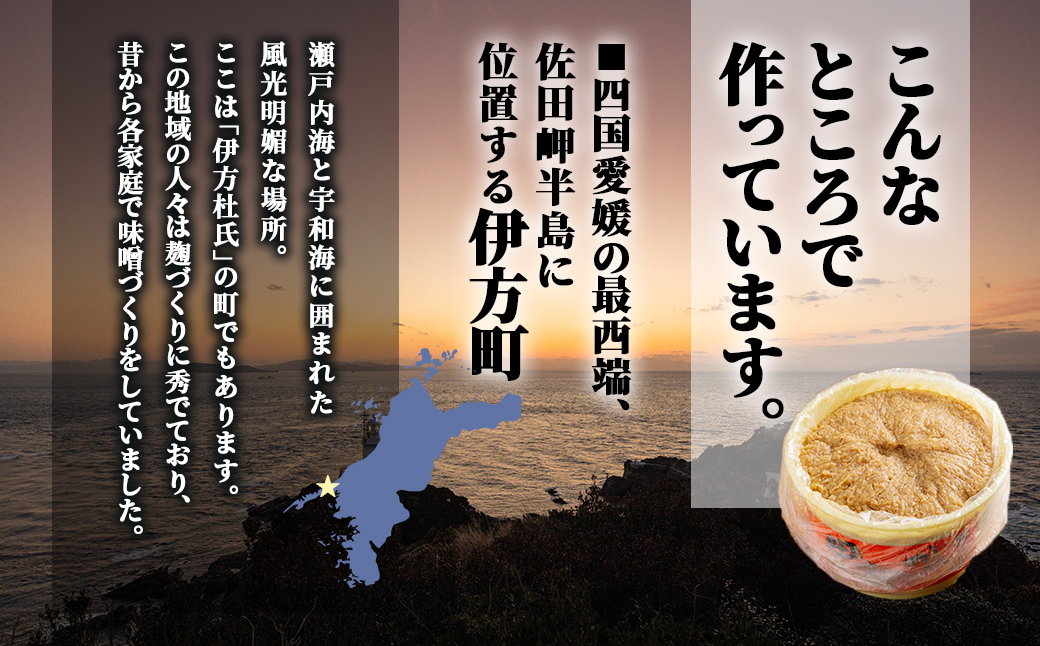 鮗ヲ蜻ウ蝎2kg譯カ蜈・繧 IKTBK001