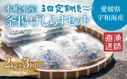 【佐田岬・漁師直送】【3ヵ月連続定期便】 木嶋水産の釜揚げしらす 6kg（1回250g×8P×3回) ｜ 魚介類 海産物 魚 釜揚げ しらす シラス 小分け やみつき ご飯のお供 おつまみ 酒の肴 おやつ しらす丼 サラダ 海産物 冷凍 国産 愛媛県産 ※離島への配送不可