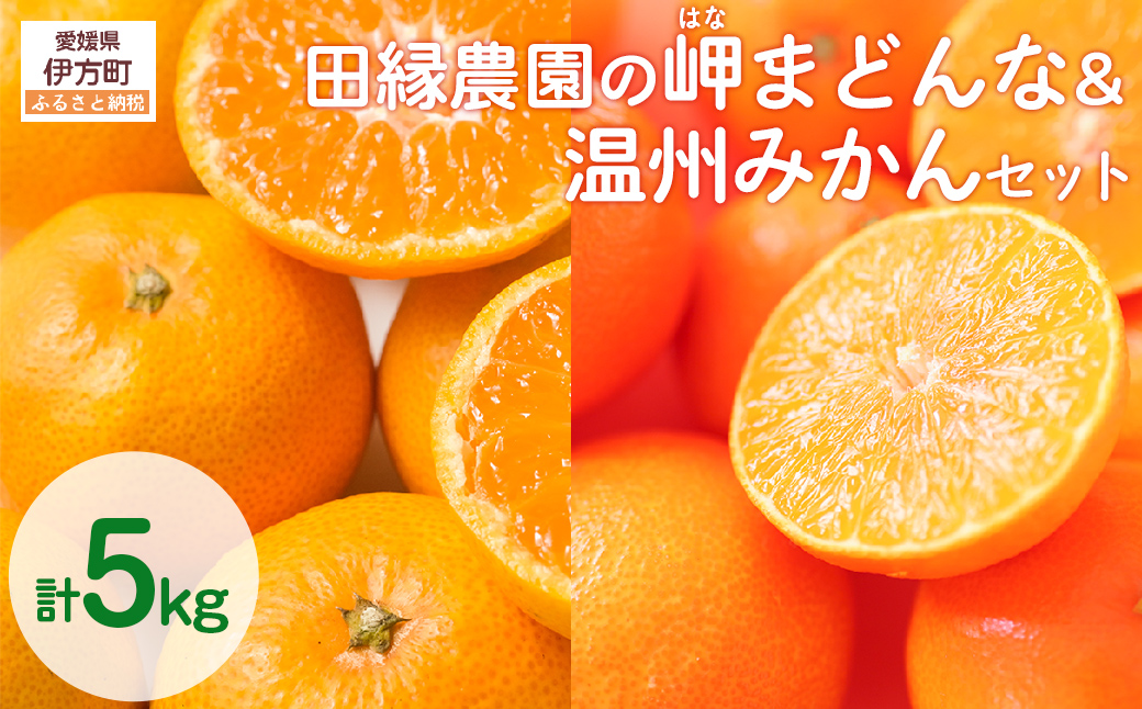 【先行予約】【数量限定】田縁農園の岬（はな）まどんな＆温州みかんセット （2025年11月25日より順次発送） IKTA005