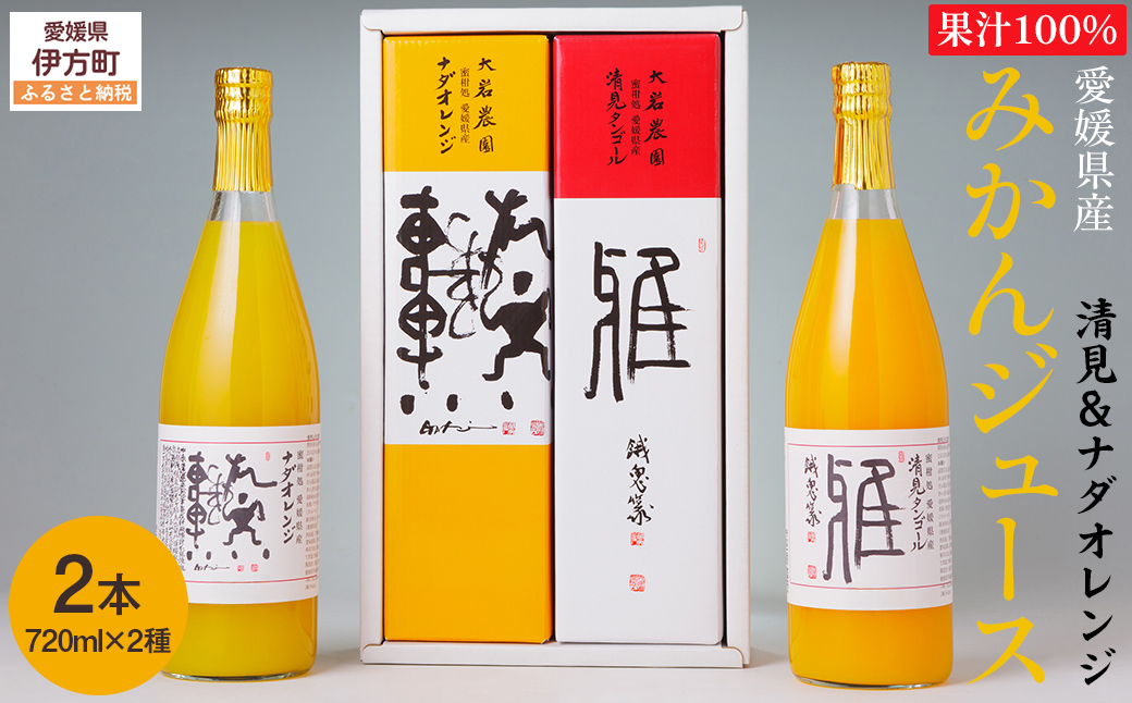 愛媛県産 果汁100％みかんジュース2本入りセット（清見・ナダオレンジ） IKTC011