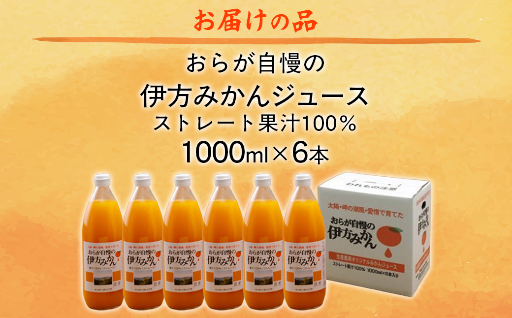【先行予約】【愛媛県産】おらが自慢の伊方みかんジュース（1000ml×6本）ストレート果汁100％（2025年12月より順次発送） IKTI008