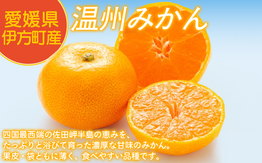 【先行予約】【家庭用】温州みかん 5kg ※北海道・沖縄・離島への配送不可 （2025年12月1日より順次発送予定） IKTAT003 