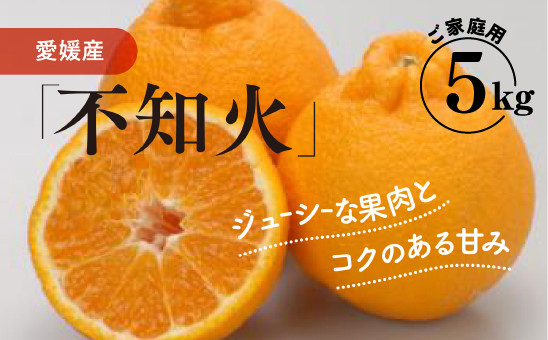 【家庭用】不知火 5kg ｜ 柑橘 みかん ミカン 蜜柑 果物 フルーツ 愛媛県 伊方町産 でこぽん デコポンと同品種　※離島への配送不可　※2025年2月上旬～2月下旬頃に順次発送予定