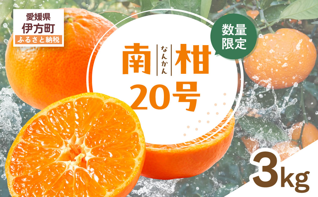 【先行受付】【数量限定】南柑20号（生果）3kg（2025年12月上旬頃より順次発送）IKTQ016