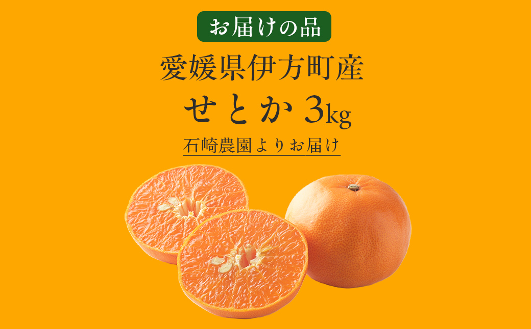 【先行予約】せとか3kg ※離島への配送不可 （2027年2月10日より順次発送予定） IKTAG003