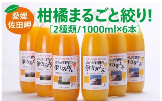 【愛媛県産】おらが自慢のジュースセット（1000ml×6本/みかん3、きよみ3）ストレート果汁100％　※2024年12月頃より順次発送予定◇